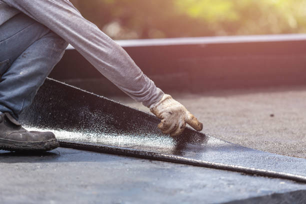 Professional Wet Basement Repair technician working in Caledonia, MI